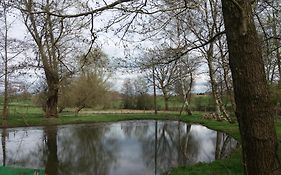 Le Sentier Des Etangs